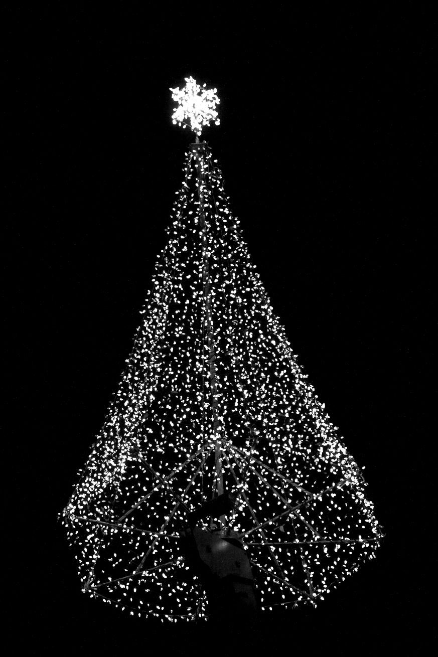 2015 12 20 HTP 000089979ebw
